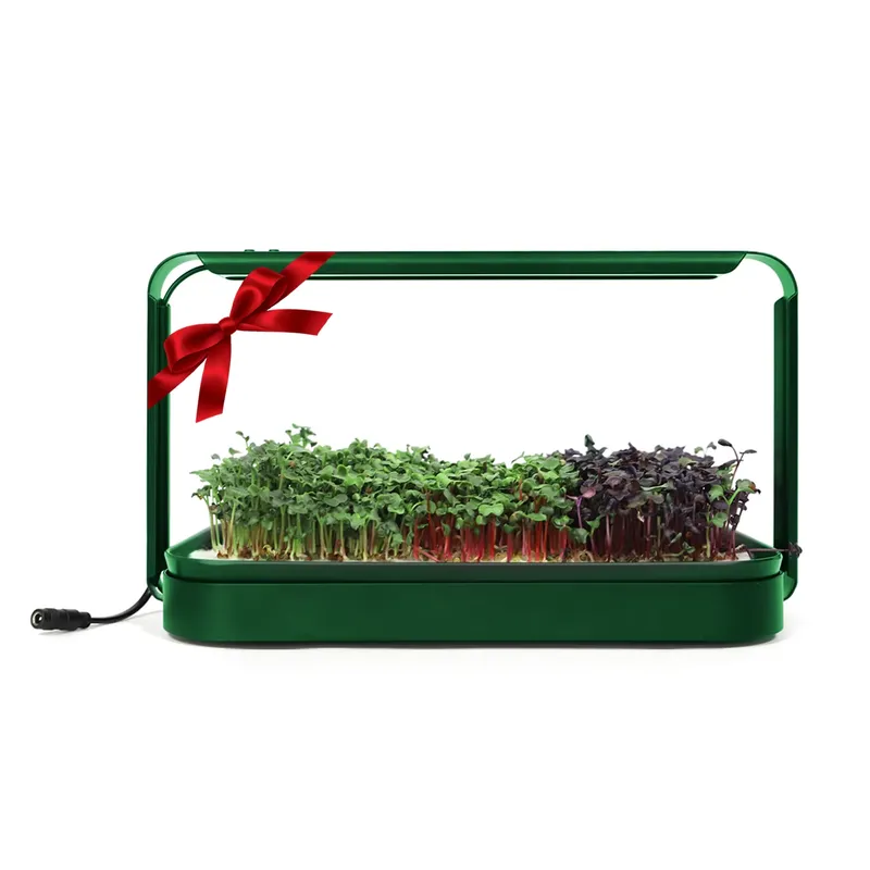 Kerstcadeau-ideeën: DIY hangen - Smart Garden Ideas recensie en prijs