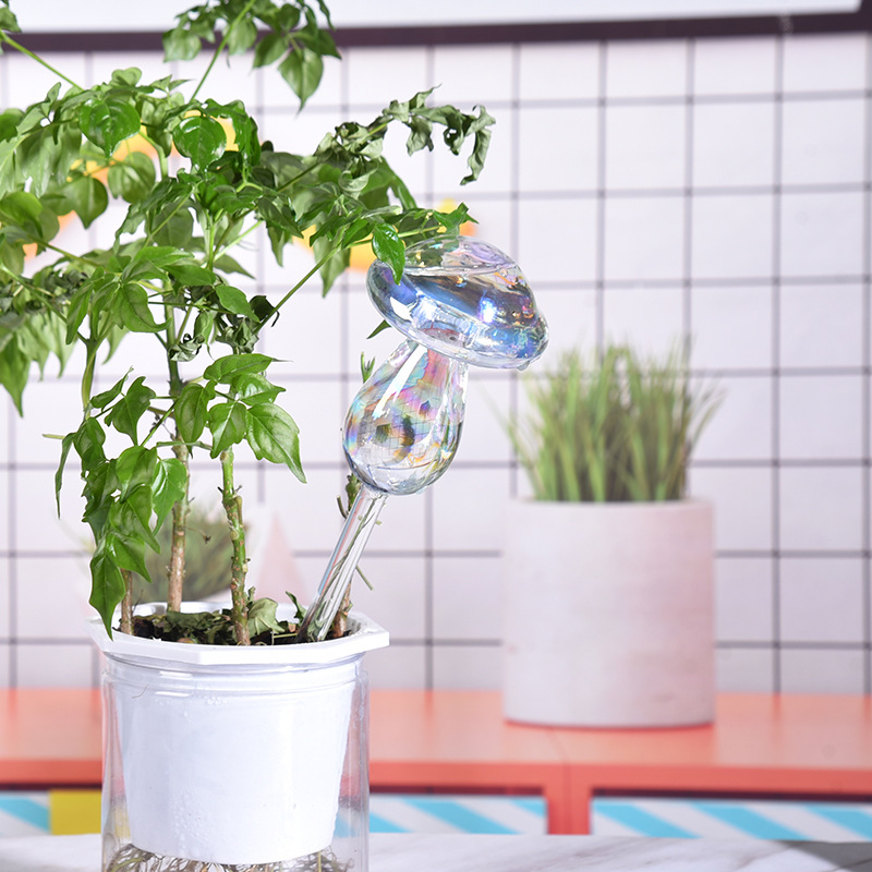1/2 Stuks Glazen Stro Automati - Smart Garden Auk recensie en prijs