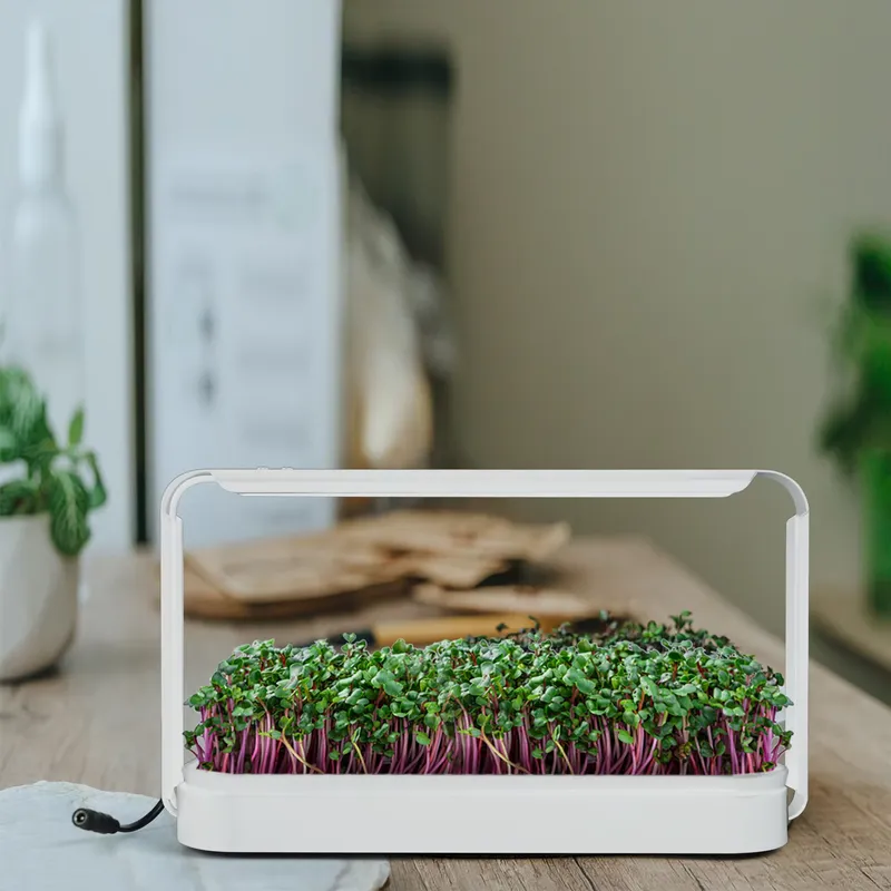 Indoor kruiden-tuin kweeklamp  - Smart Garden Ideas recensie en prijs