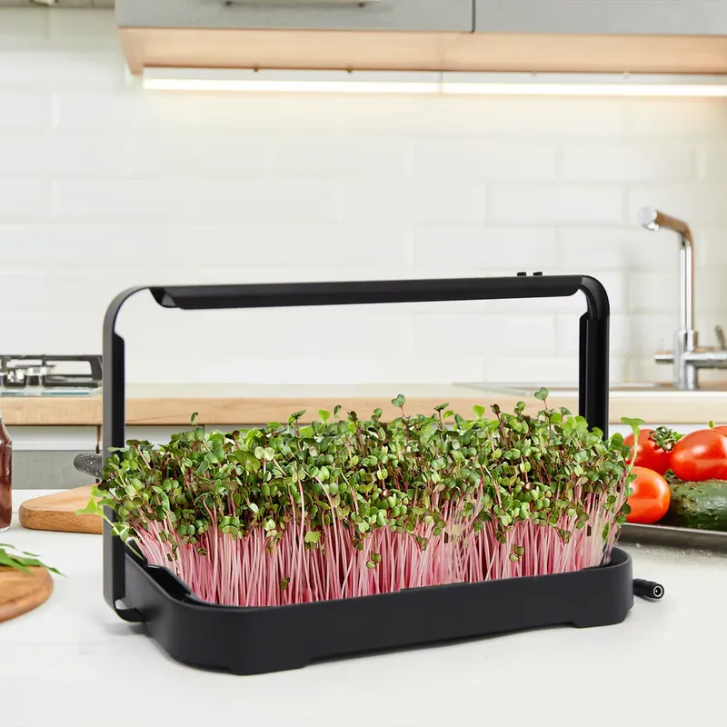Hydroponische Bak Indoor Micro - Smart Garden System recensie en prijs