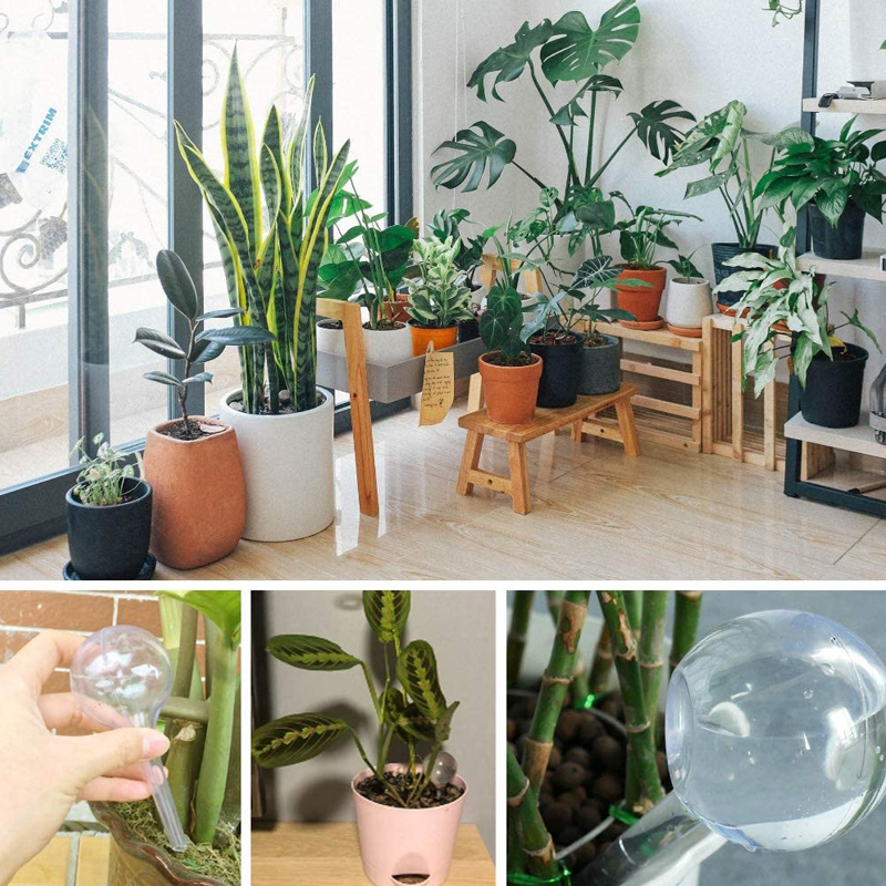 5/10PCS Automatische Plant Wat - Smart Garden Auk recensie en prijs